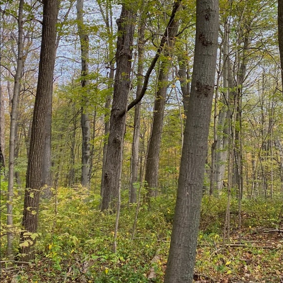 Meet your Posher, Amna - Picture 1 of 1